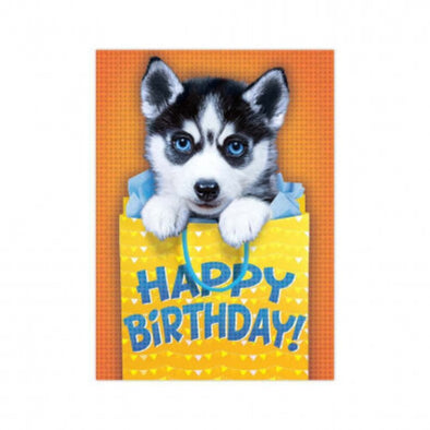 Husky Happy Birthday Card