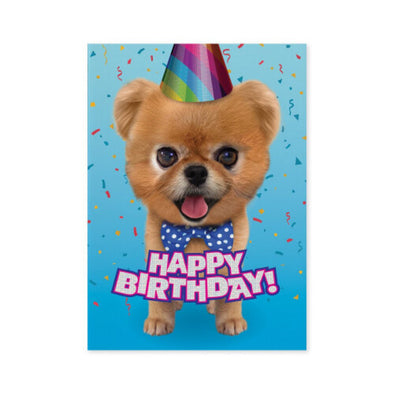 Teddy Bear Pomeranian Happy Birthday Card