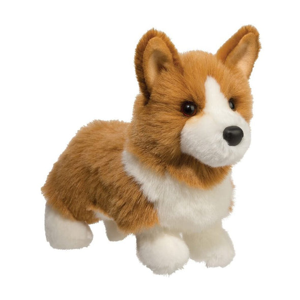 Douglas Louie Corgi