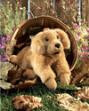 Folkmanis Golden Retriever Puppy Puppet