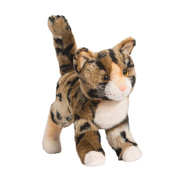 Douglas Tashette Begal Cat