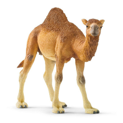 Schleich Dromedary