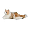 Douglas Kiki Ragdoll Cat