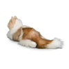 Douglas Kiki Ragdoll Cat