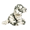 Douglas Mackay Dalmatian