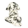 Douglas Mackay Dalmatian