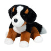 Douglas Bowie Bernese Mountain Dog Softie