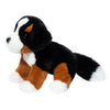 Douglas Bowie Bernese Mountain Dog Softie