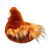 Douglas Hector (Hectorina) Hen