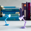 The Little Book Light, Lilac