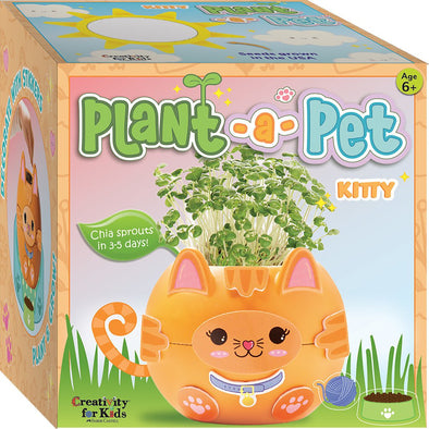 Creativity For Kids Plant A Pet Kitty