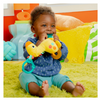 Bright Starts Safari Soother Rattle & Teether Toy