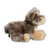 Douglas Yetti Yorkie