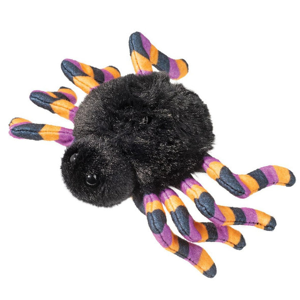 Douglas Spider with Striped Legs