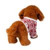 Douglas Dachshund Mini Softie with Sweater