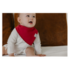 Copper Pearl Baby Bandana Bibs 4 Pack, Ivy