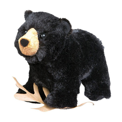 Douglas Morley Black Bear