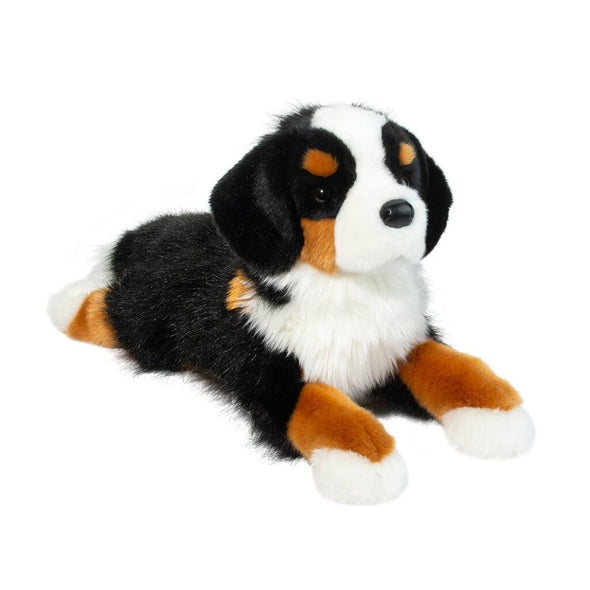 Douglas DLux Trooper Bernese Mountain Dog