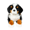 Douglas DLux Trooper Bernese Mountain Dog