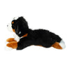 Douglas DLux Trooper Bernese Mountain Dog
