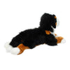 Douglas DLux Trooper Bernese Mountain Dog