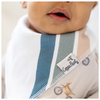 Copper Pearl Bandana Bibs 4 Pack, Ryder