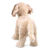 Folkmanis Labradoodle Dog Puppet