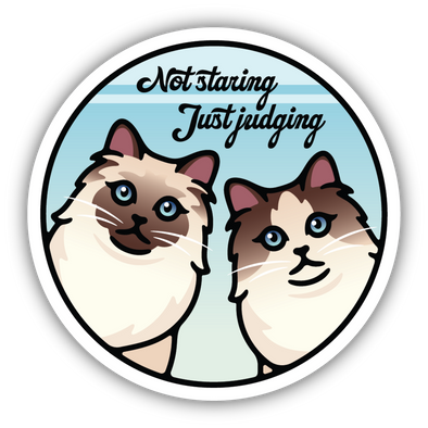 Not Staring Just Judging Cats Sticker