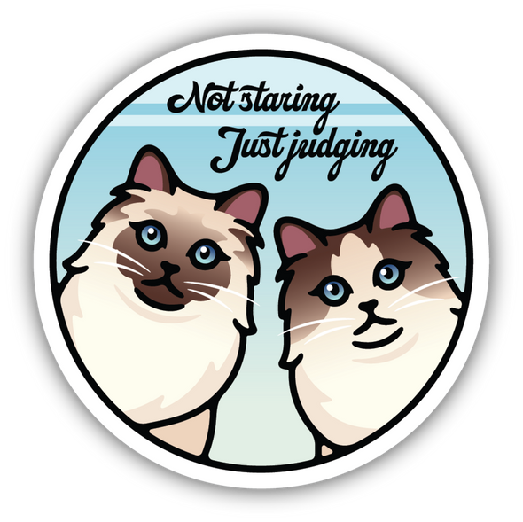 Not Staring Just Judging Cats Sticker