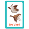 Nature Seek and Find Scavenger Hunt Cards