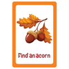 Nature Seek and Find Scavenger Hunt Cards