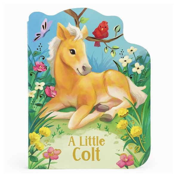 Little Colt