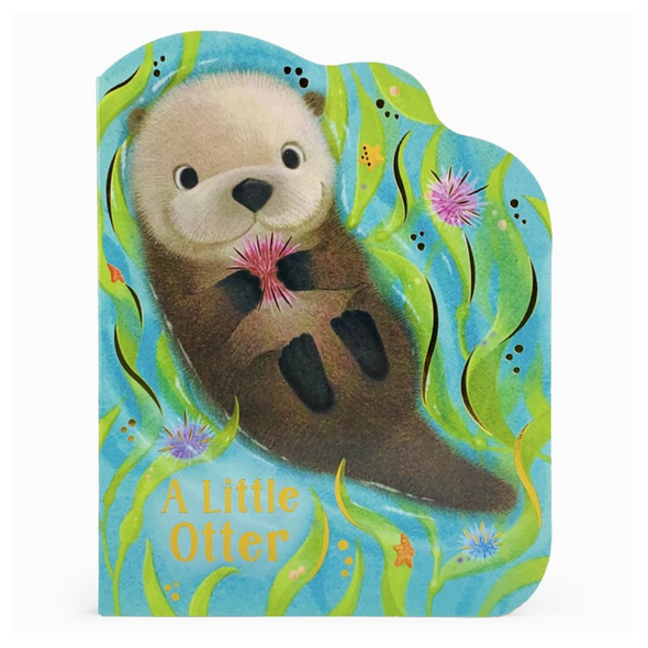 Little Otter