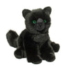 Douglas Salem Black Cat