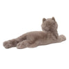 Douglas Juliette Grey Persian Cat