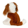 Douglas Kingsley King Charles Cavalier