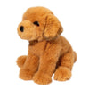 Douglas August Golden Retriever