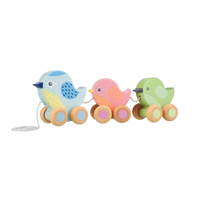 Orange Tree Toys Pull Along Birdies