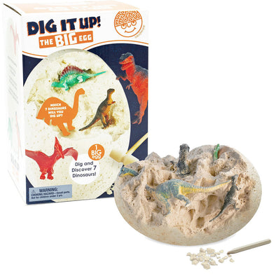 Dig It Up! The Big Egg Dinosaur