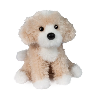 Douglas Darcy Golden Doodle