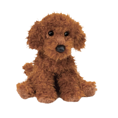 Douglas Ginger Miniature Poodle