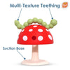 RaZbaby Chompy Teether Toy
