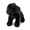 Douglas Brewster Black Lab