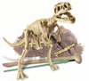 4M Dig a Dinosaur Skeleton, Tyrannosaurus Rex