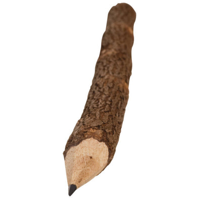 Toysmith Twig Pencil