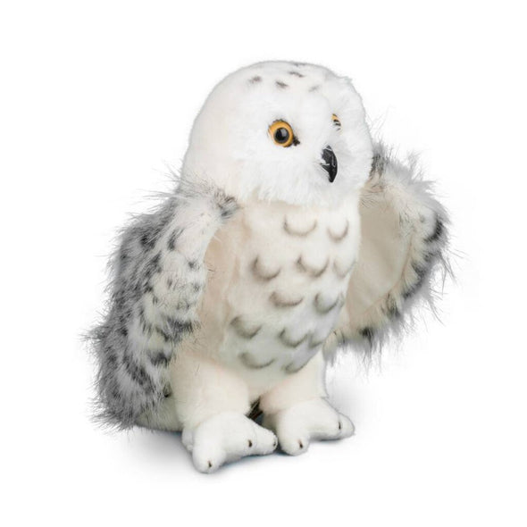 Douglas Legend Snowy Owl