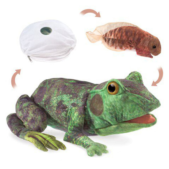 Folkmanis Frog Life Cycle Puppet