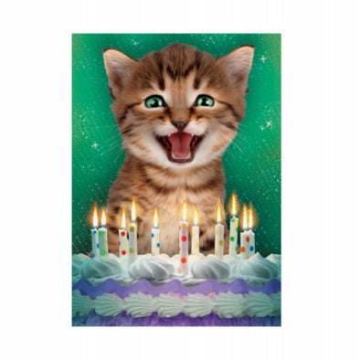 Realistic Cat Happy Birthday